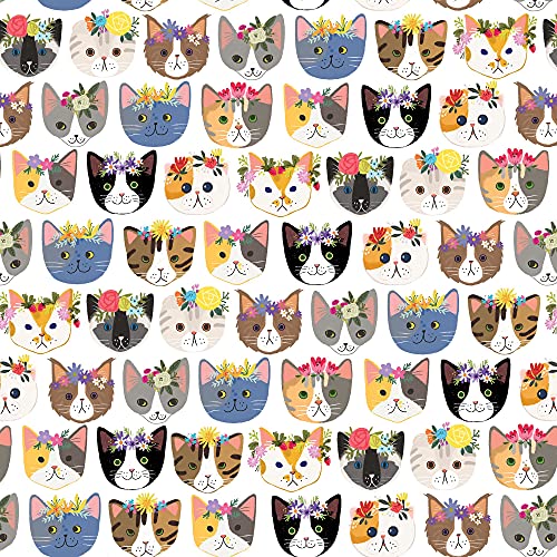 Kitty Cats