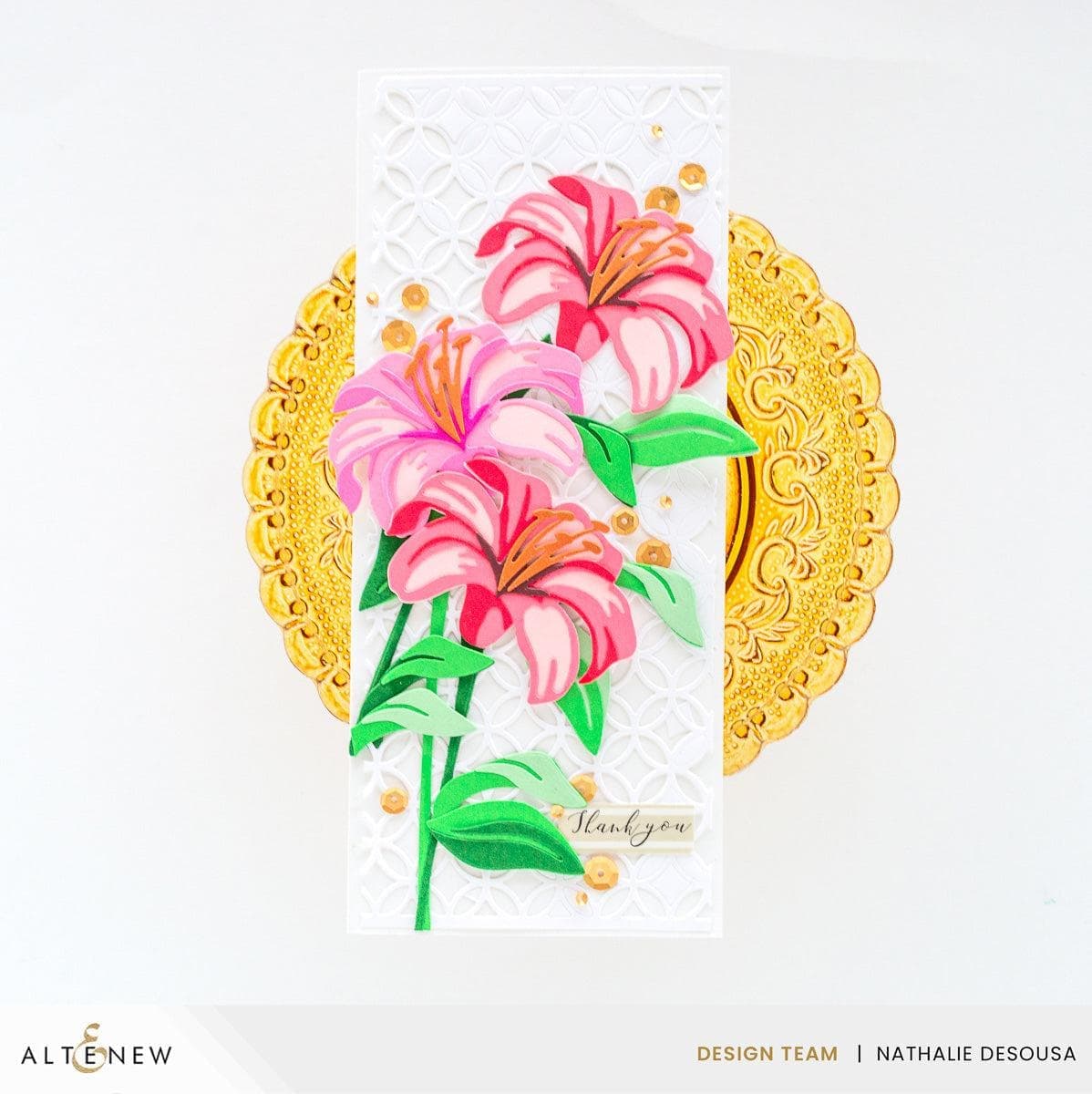 Premium Limited Edition Solid Cardstock Bundle - High-Quality Thick Paper for Scrapbooking, Card Making & DIY Crafts | Perfect for Invitations, Greeting Cards & Art Projects