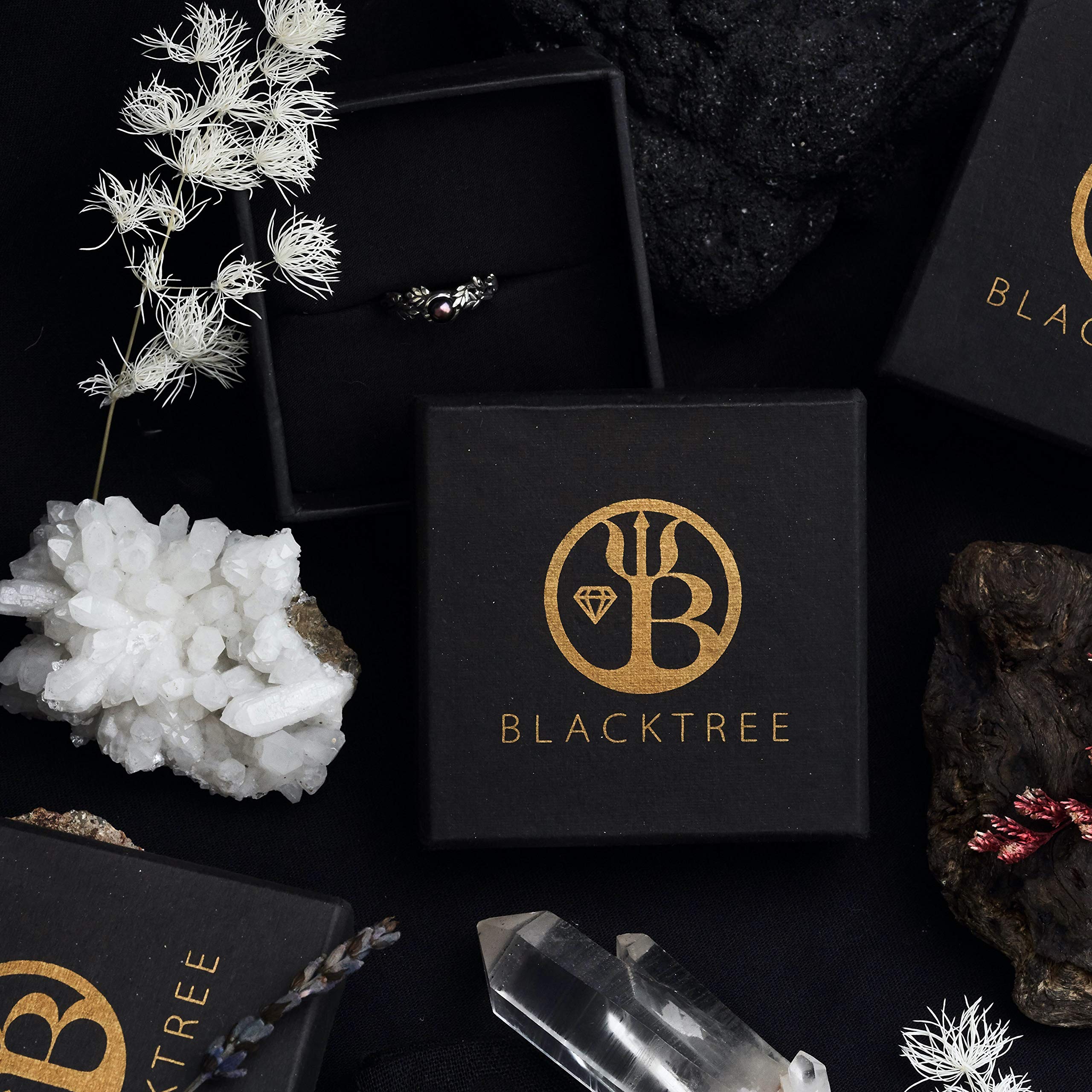 BlackTreeLab 