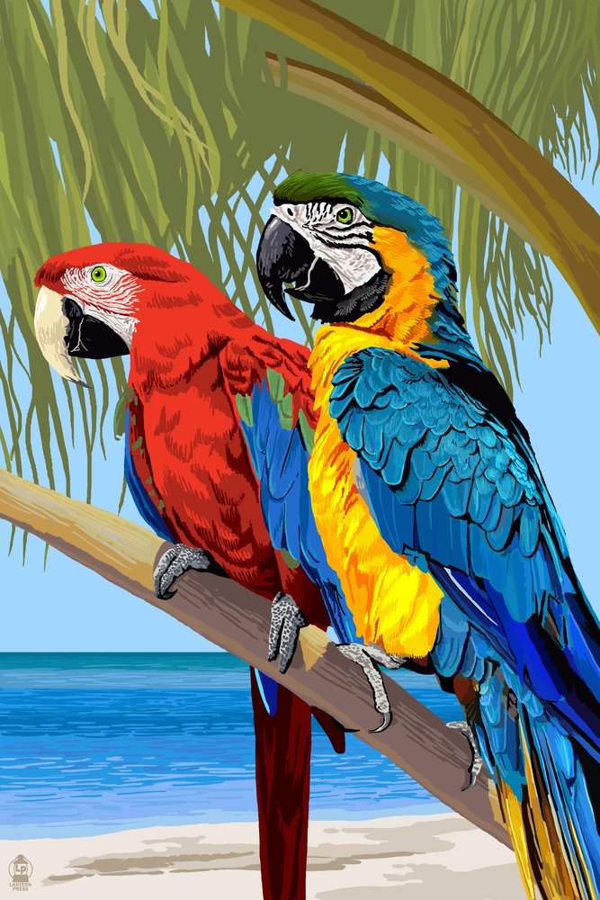 Lantern Press Parrots Wall Art Poster - 12x18 Inch Tropical Bird Print for Home Decor, Living Room, Bedroom & Office | Vibrant Parrot Painting for Animal Lovers & Nature Inspired Interior Design