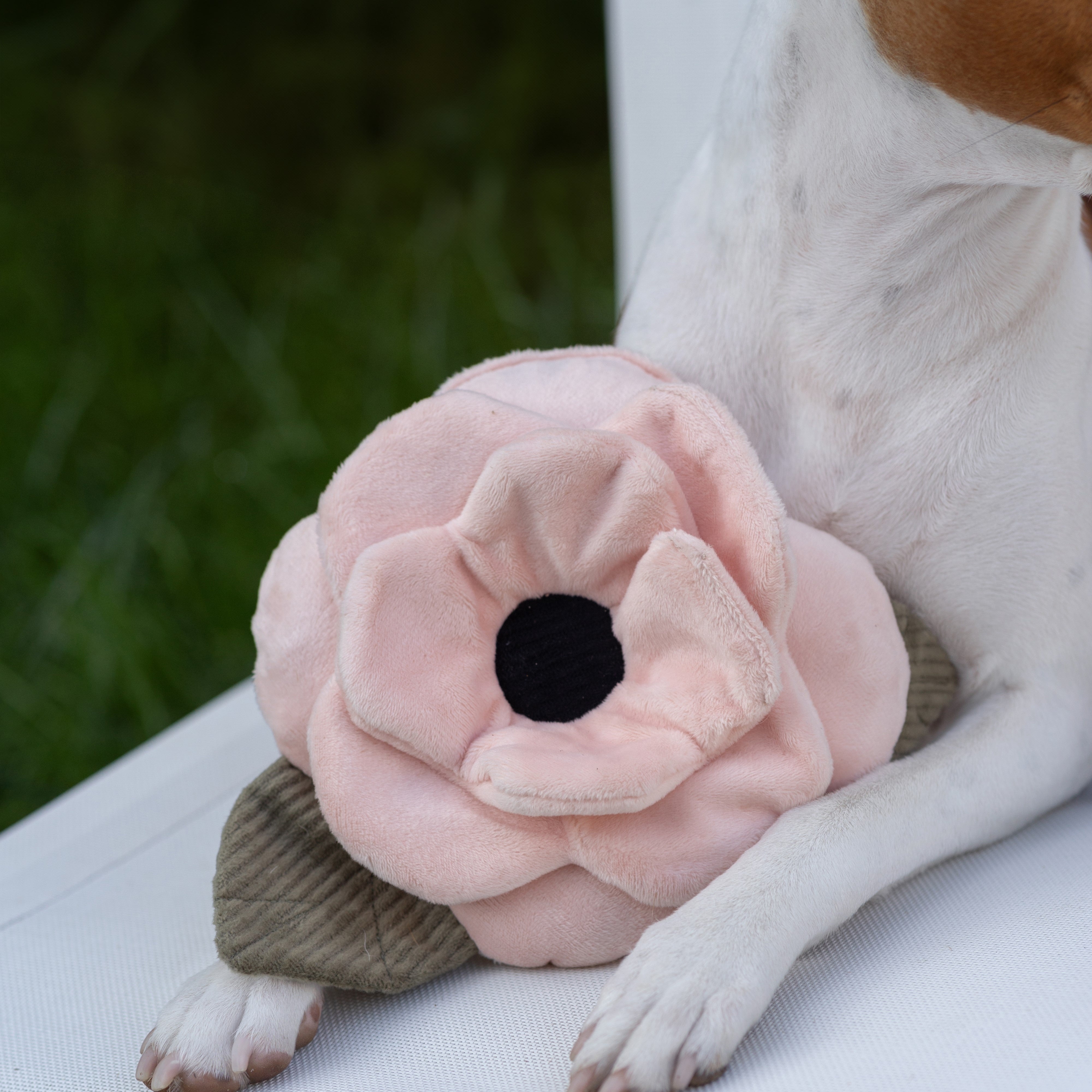 Poppy Flowers - Beautiful & Vibrant Blooms for Home Decor, Weddings & Special Events | Perfect for Bouquets, Centerpieces & Gifts