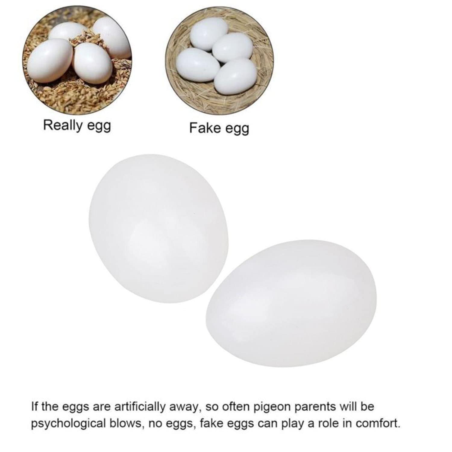 Maxmoral 12pcs Plastic Fake Pigeon Eggs - Solid Decoy Eggs for Hatching & Breeding Supplies - Perfect for Pigeon Nesting, Training, and Egg Replacement Scenarios