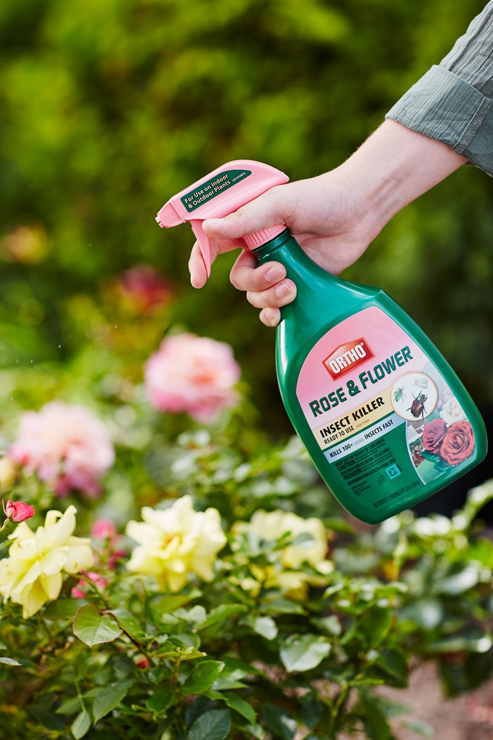 Ortho Rose & Flower Insect Killer Spray - 24 oz | Effective Pest Control for Roses, Flowers & Garden Plants | Indoor & Outdoor Use