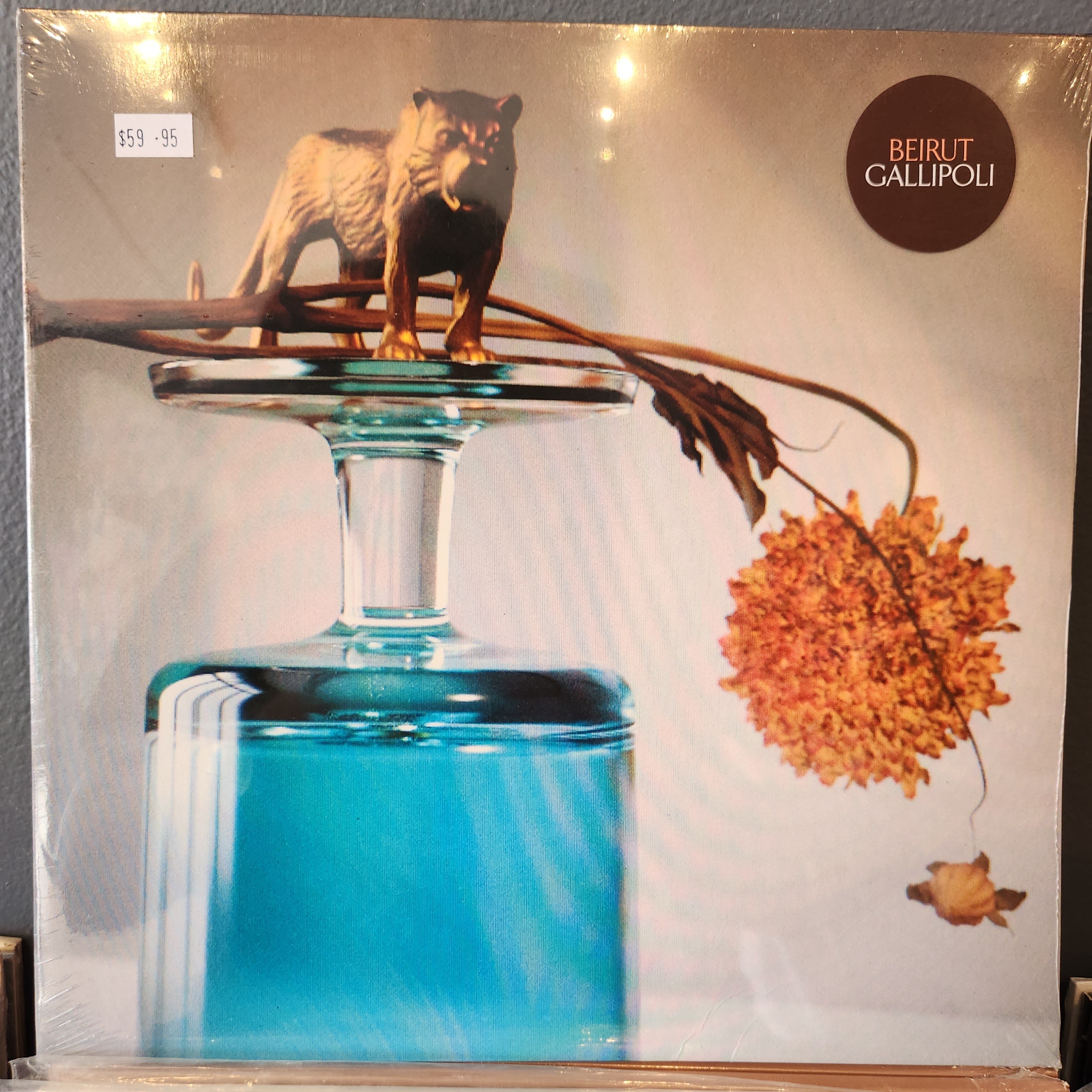 Beirut Gallipoli Vinyl LP Record - Indie Folk & World Music for Home Listening & Collectors