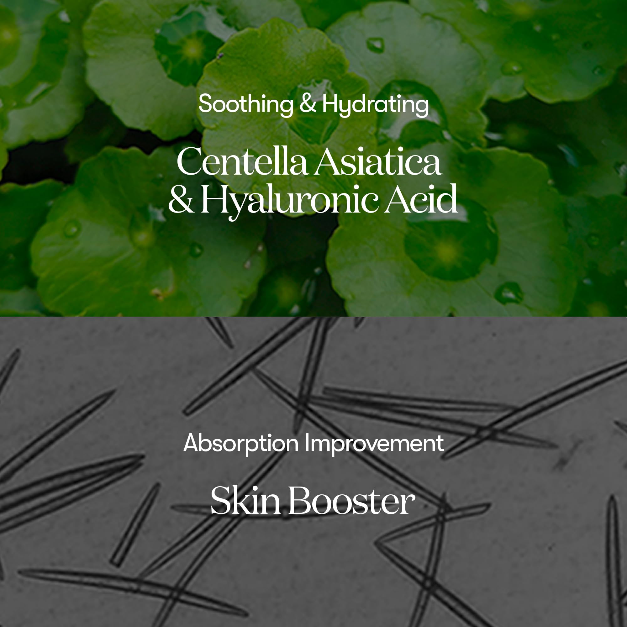 VT COSMETICS CICA Reedle Shot 300 - Advanced Night Exosome Microneedling Serum with Centella Asiatica & Hyaluronic Acid | Propolis Infused for Soft Skin & Regeneration | Korean Glass Skin Booster 1.69Fl Oz (50ml) | Perfect for Nighttime Skincare Routine & Post-Microneedling Treatment