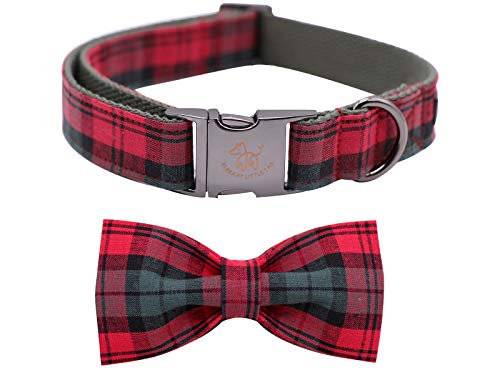 Christmas Plaid