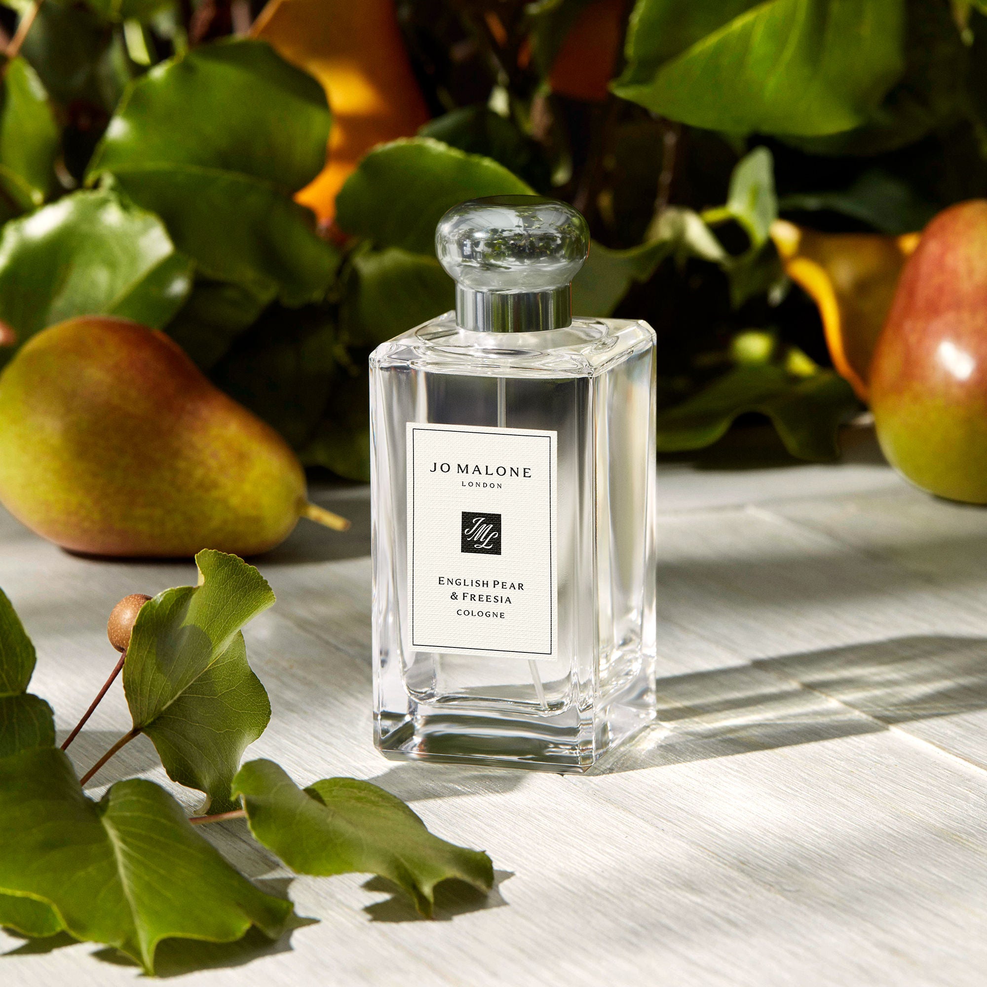 English Pear & Freesia Cologne for Women - Fresh Floral Perfume Spray | Perfect for Daily Wear, Office & Date Nights