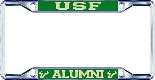 South Florida Bulls Silver