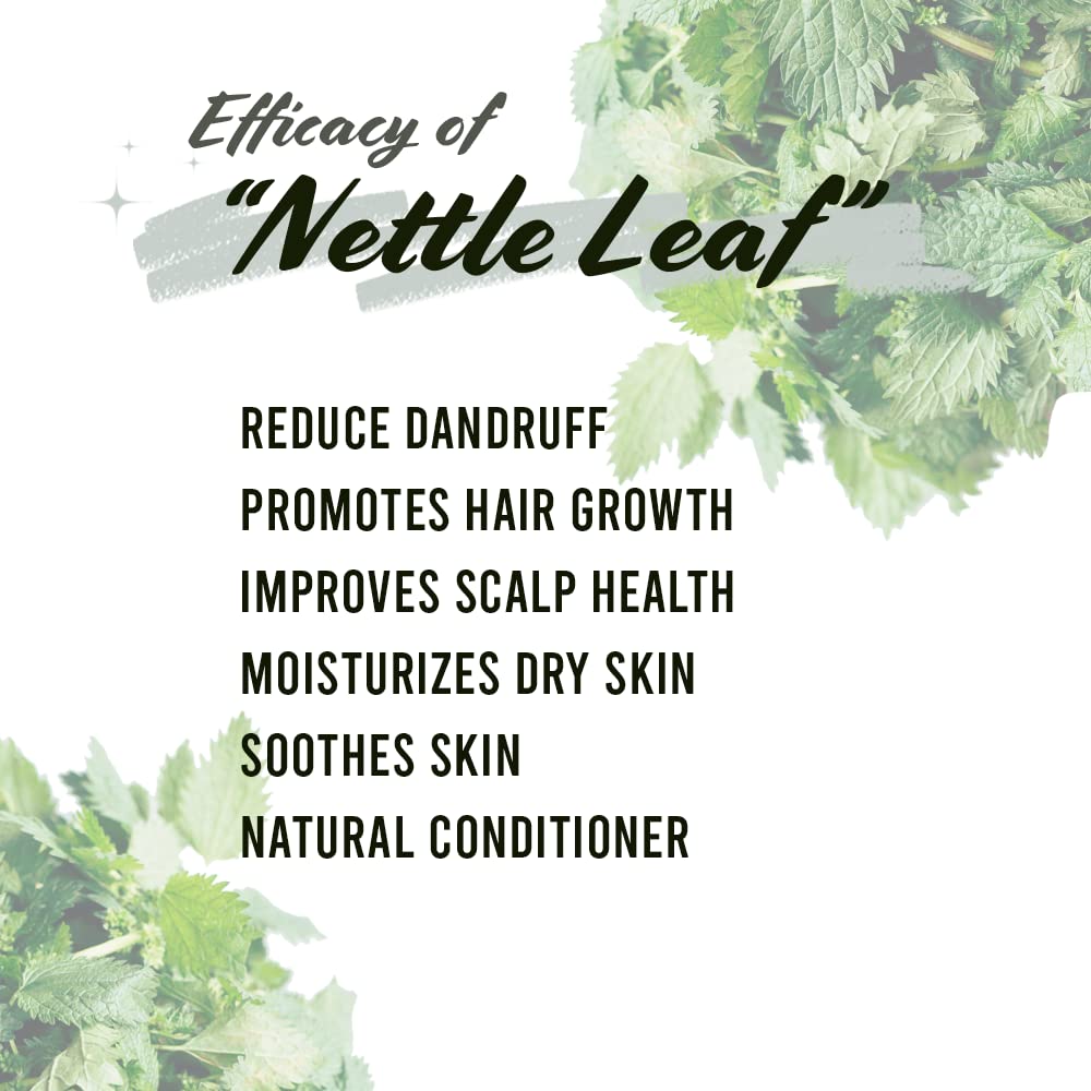 Wells Oil Dried Nettle Leaf Herb 0.5 oz - 100% Pure Natural for Hair Growth & Skin Care - Organic DIY Herbal Remedy - Perfect for Homemade Shampoos, Teas & Beauty Treatments