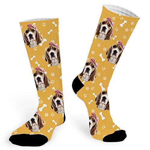 Yellow Dog