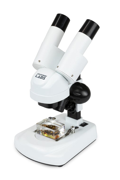 Celestron Labs S20 Angled Stereo Microscope 44137 - 20x Magnification, LED Illumination for Jewelry, Coins & Electronics Inspection | Ideal for Hobbyists, Collectors & Professionals