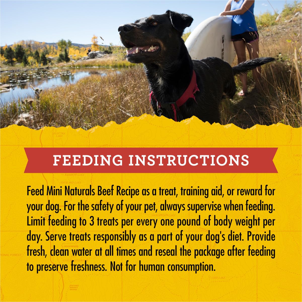 Zuke's Mini Naturals Salmon Recipe Dog Training Treats - Soft & Nutritious with Vitamins & Minerals for All Breeds - 16oz Pack - Perfect for Obedience Training & Positive Reinforcement