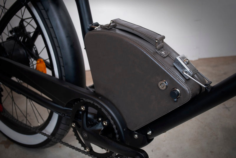 Rayvolt Clubman - Stylish and Durable Electric Bike for Urban Commuting | Perfect for City Rides, Eco-Friendly Transportation & Outdoor Adventures