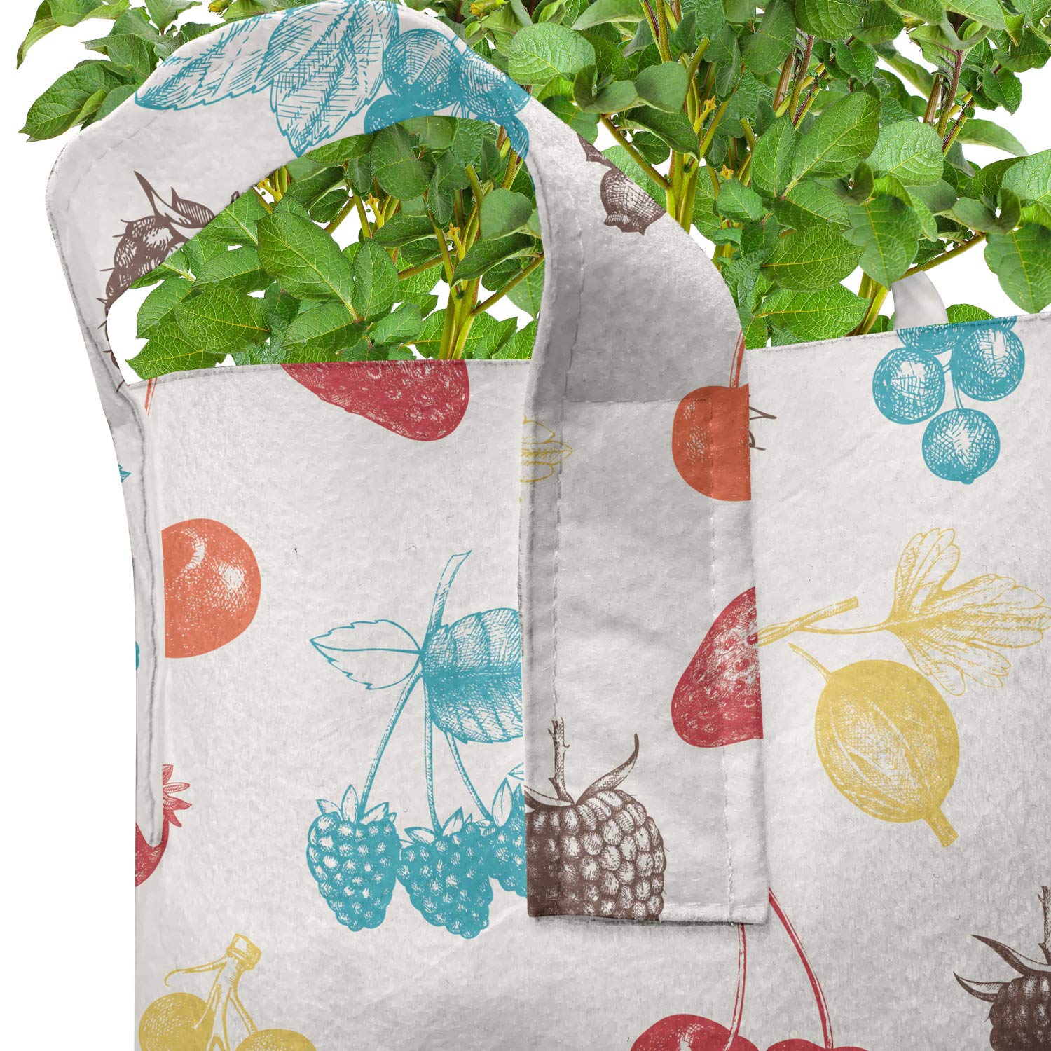 Ambesonne 5-Pack Heavy Duty Fabric Grow Bags with Handles - Colorful Fruit Pattern Plant Pots for Indoor/Outdoor Gardening, Vegetables, Herbs & Flowers