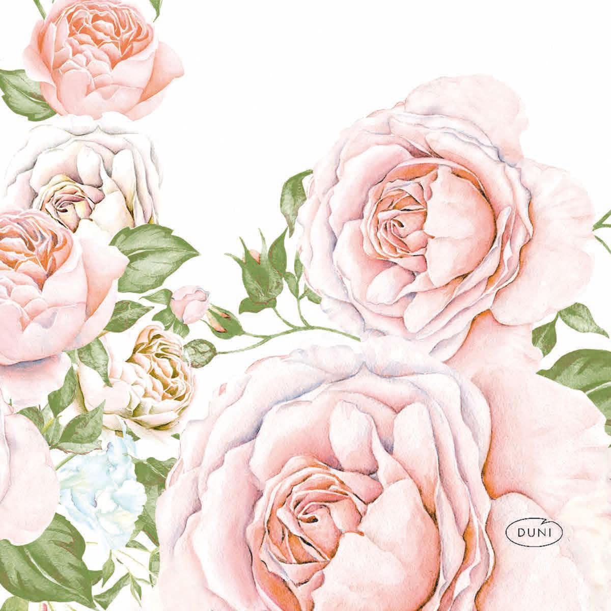 Pink Roses Disposable Cocktail Napkins 5