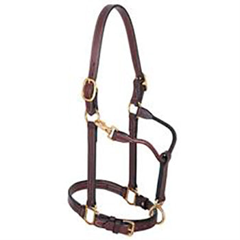 1 Track Halter Mahogany - Adjustable Horse Training Halter for Safe & Gentle Control | Perfect for Riding, Training, and Show Horses