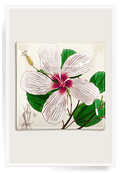 Decorative Hibiscus Genevii Decoupage Glass Tray - Elegant Serving Tray for Tea Parties, Home Decor, and Gift Giving