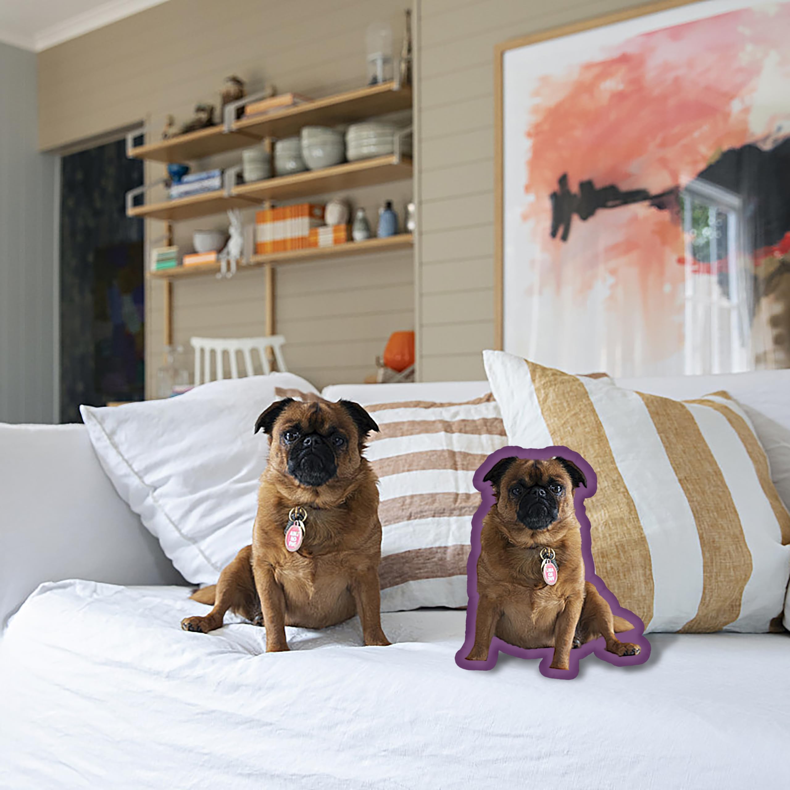 Custom Pet Pillow with Photo - Personalized Dog & Cat Pillow for Mother's Day, Graduation Gifts (12inch) - Home Decor & Unique Present
