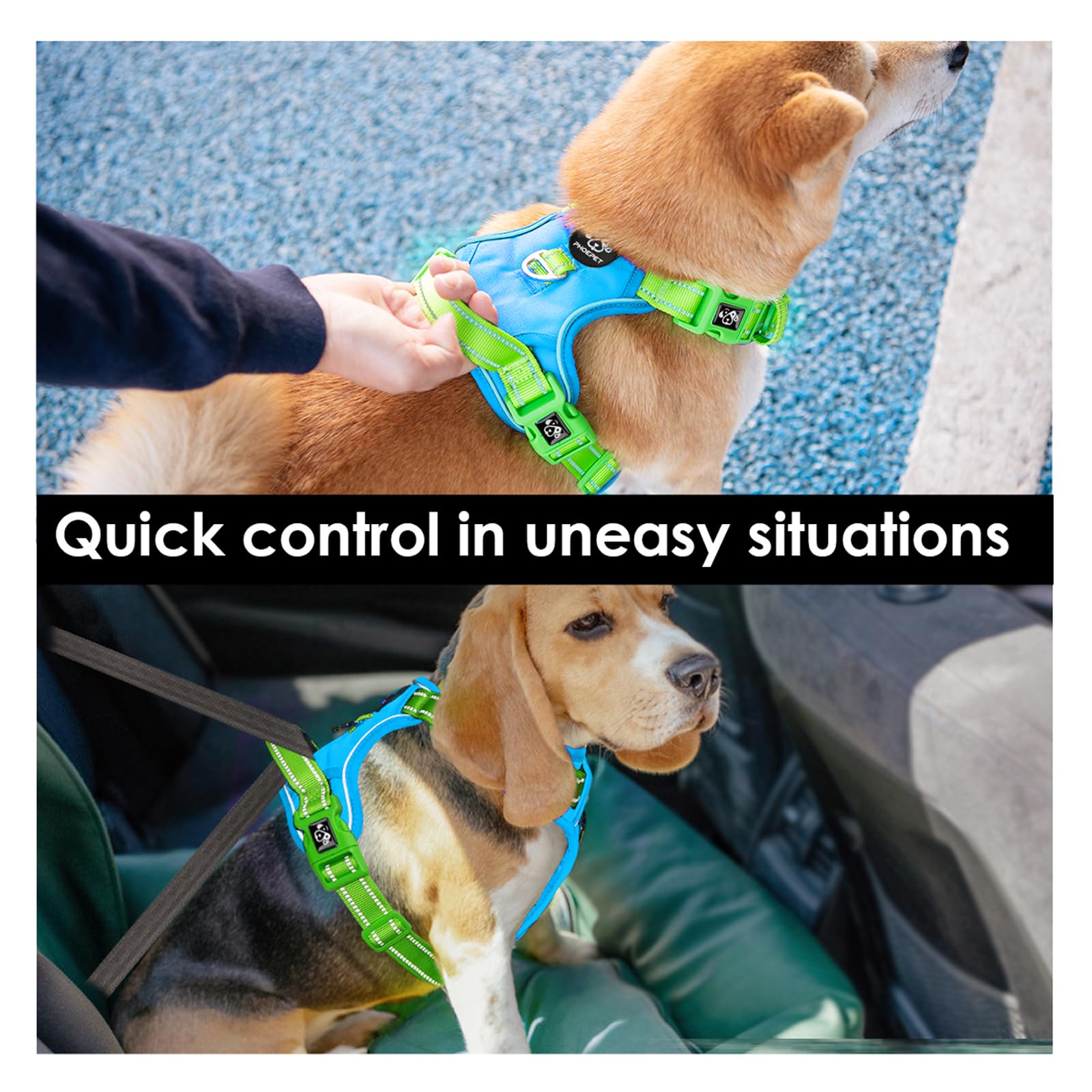 PHOEPET No Pull Dog Harness - Reflective Adjustable Pet Vest with Soft Training Handle & Metal Clips for Small Medium Large Dogs (Blue/Green, Medium) | Perfect for Walking, Running, Training & Outdoor Adventures