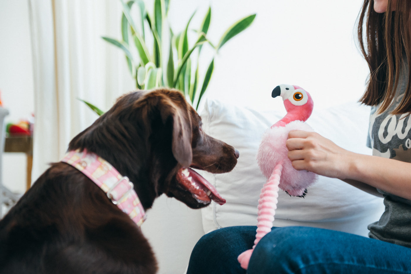 Flora the Flamingo Plush Dog Toy - Soft & Durable Fetching Flock™ Chew Toy for Small & Medium Dogs | Perfect for Playtime, Training & Cuddling | Pet P.L.A.Y.