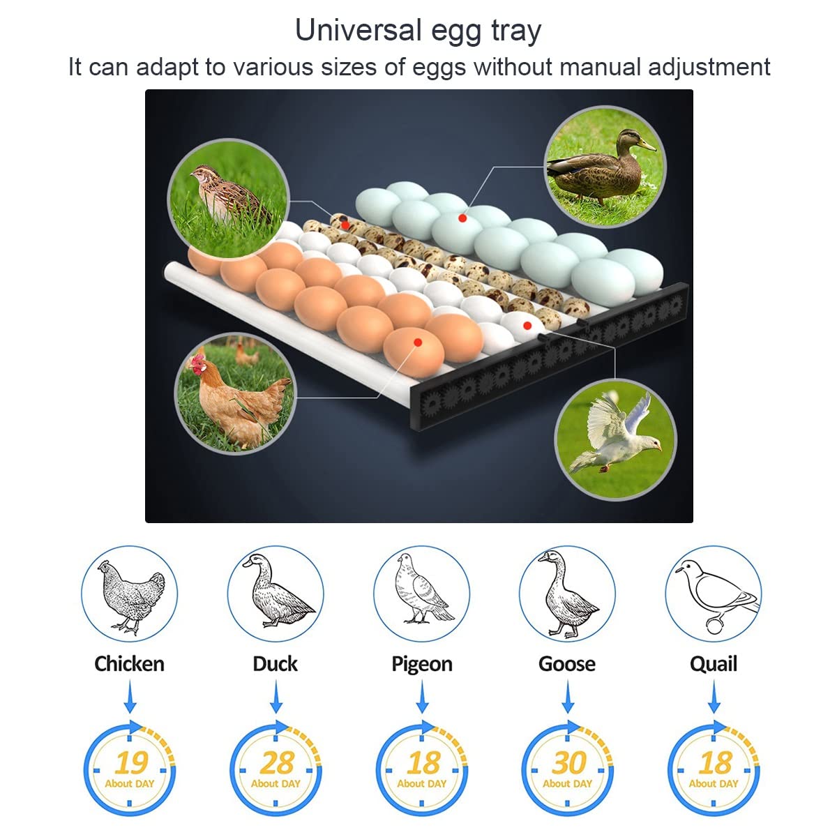 96 Egg Incubator Automatic Digital Poultry Hatcher with Egg Candler & Auto Turner - 96 Eggs Capacity for Chicken, Duck, Quail Eggs - Perfect for Home Farming, Poultry Breeding & Classroom Education