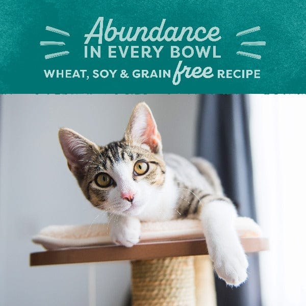 Natural Balance Original Ultra Indoor Chicken & Salmon Meal Recipe Dry Cat Food - Premium High Protein Cat Food for Indoor Cats - Supports Healthy Digestion & Shiny Coat - Ideal for Adult Cats with Sensitive Stomachs