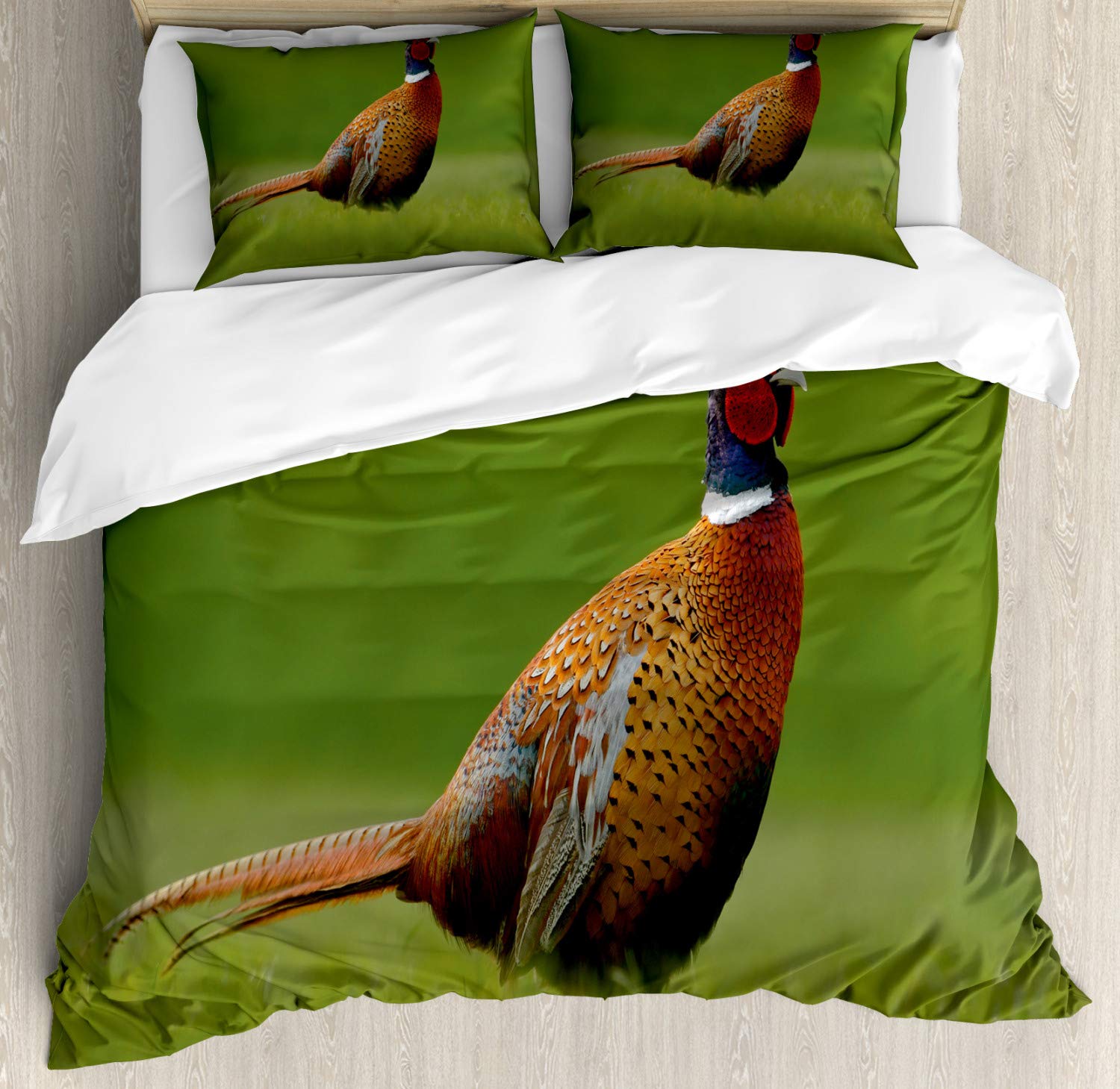 Ambesonne Green Duvet Cover Set - European Inspired Czech Republic Creature Design on Blurred Background, 3-Piece Queen Size Bedding Set with 2 Pillow Shams in Ginger Chocolate & Red | Bohemian Home Decor for Bedroom & Guest Room