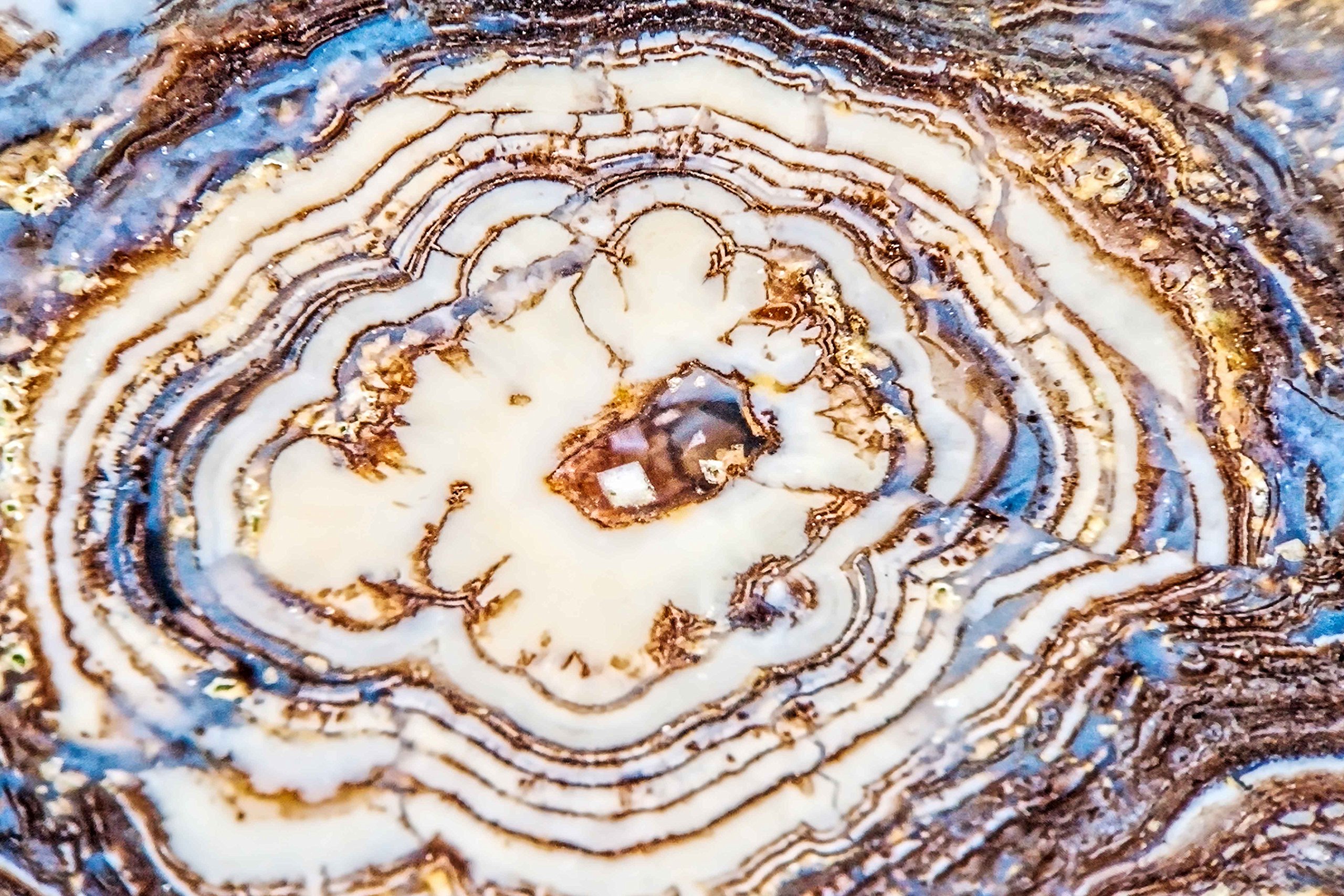 Earth Rings Canvas Wall Art by Marmont Hill - 24x16 Inches, Modern Home Decor for Living Room, Bedroom & Office