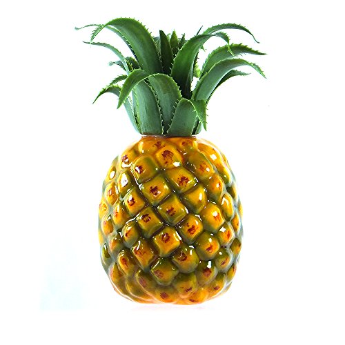 Pineapple (4-inch)