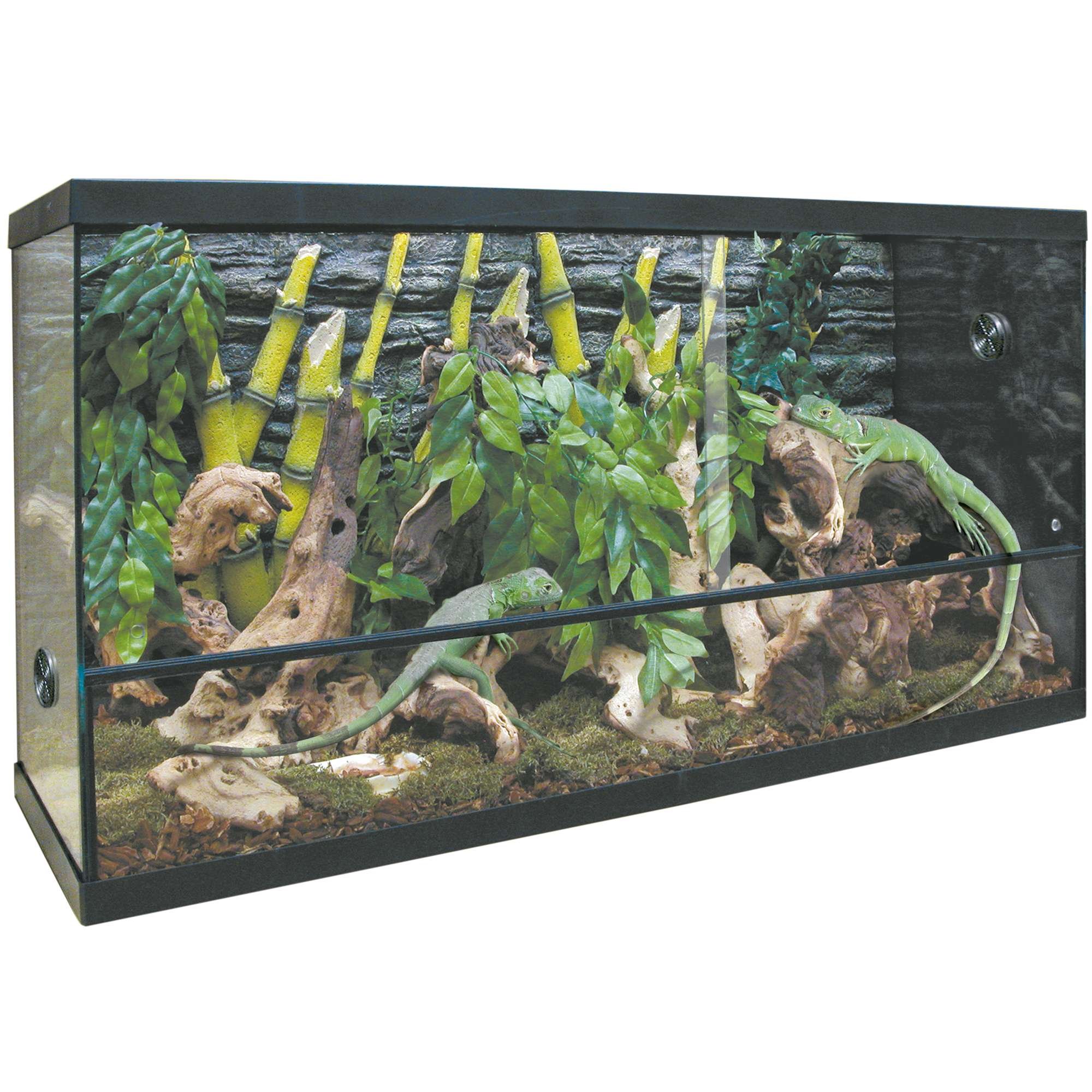 TRS135 Glass Terrarium with Lid - Large Clear Geometric Succulent Planter for Indoor Plants, Air Plants, Moss - Perfect for Home Decor, Office Desk, Gift Idea