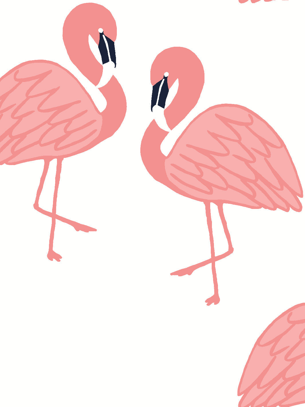 Flamingos Wallpaper by Tea Collection - Pink Tropical Flamingo Peel & Stick Removable Wallpaper for Nursery, Bedroom, or Bathroom Decor