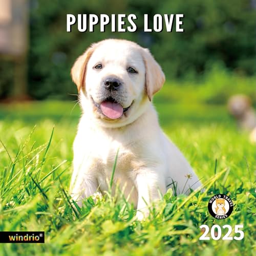 Puppy Dog 03