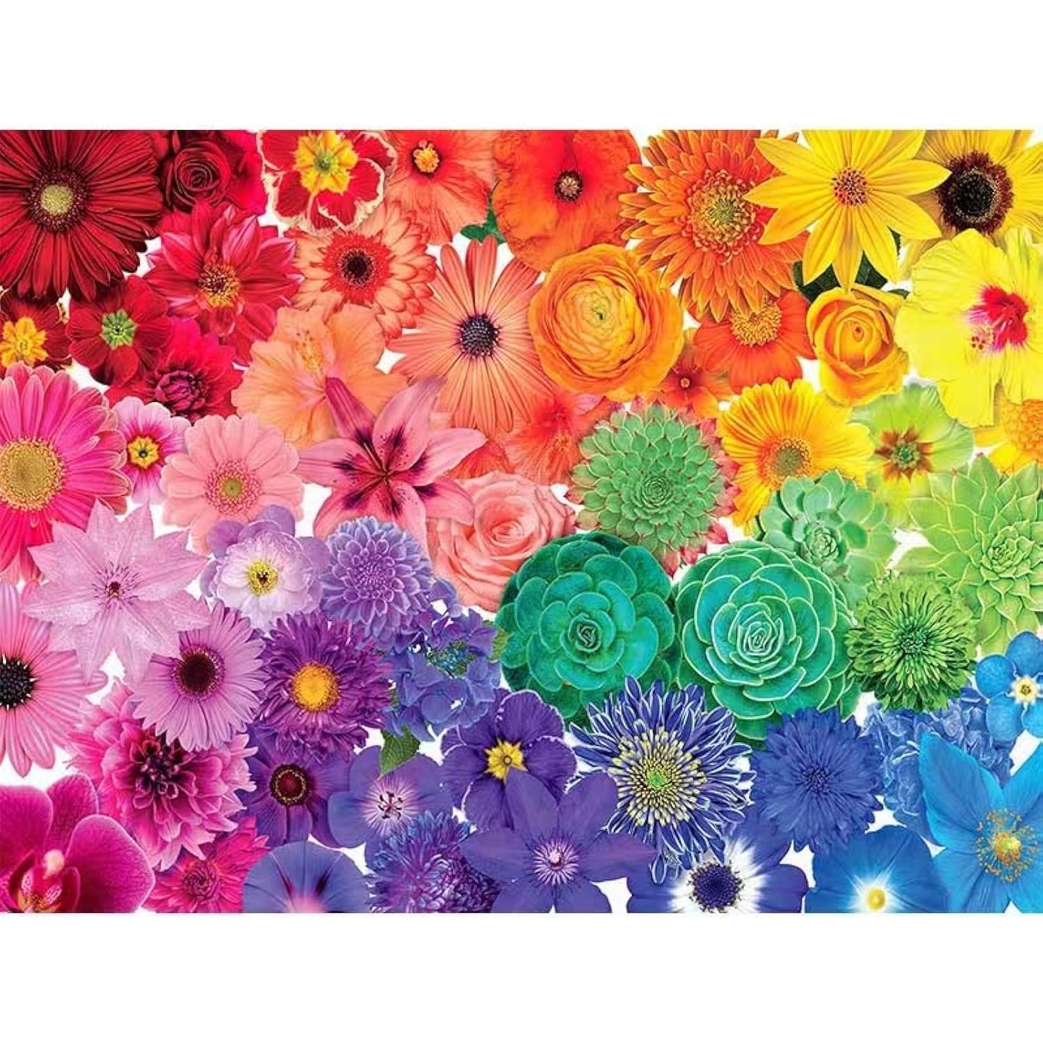 1000 Piece Jigsaw Puzzle for Adults - Rainbow Flower Puzzle (27.5x19.6 Inches) | Challenging 1000+ Piece Puzzles for Adults | Perfect for Stress Relief, Family Bonding & Home Decor