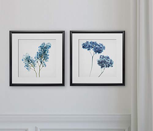 Gorgeous Blue II