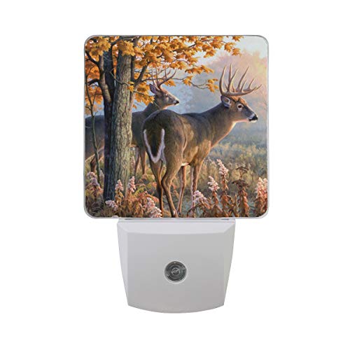 Deer Brown