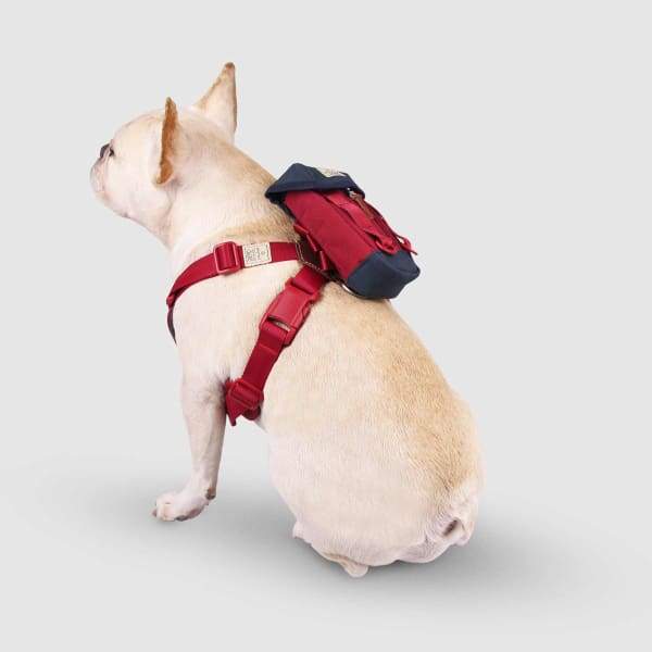 Sputnik Clean Multi-Function Red Travel Bag - Perfect for Gym, Work, and Weekend Getaways
