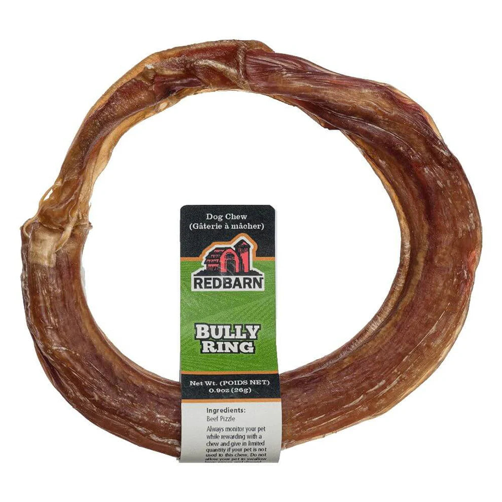 Bully Ring Small - Durable and Stylish Dog Collar for Small Breeds - Perfect for Training, Walks, and Everyday Use