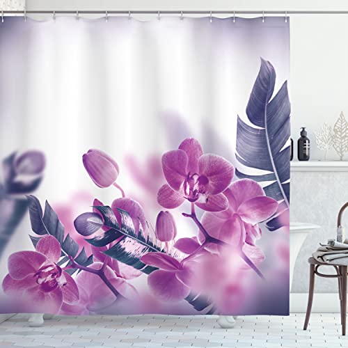 Soft Fuchsia