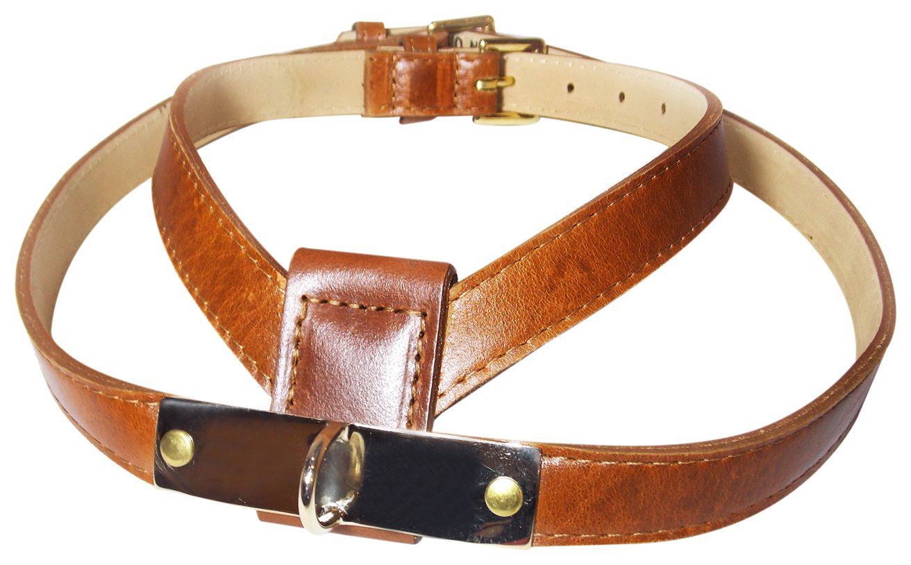 Premium Brass Plate Dog Harness - Medium Size (17.5