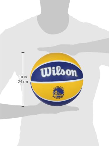 Wilson NBA Team Tribute Official Size 7 Basketball (29.5