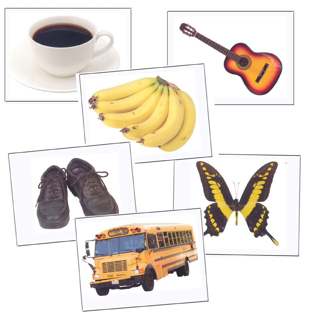 385 Basic Vocabulary Picture Cards for Language Development - Photo Funtastic Language Learning Flashcards | Perfect for ESL Students, Teachers & Homeschooling