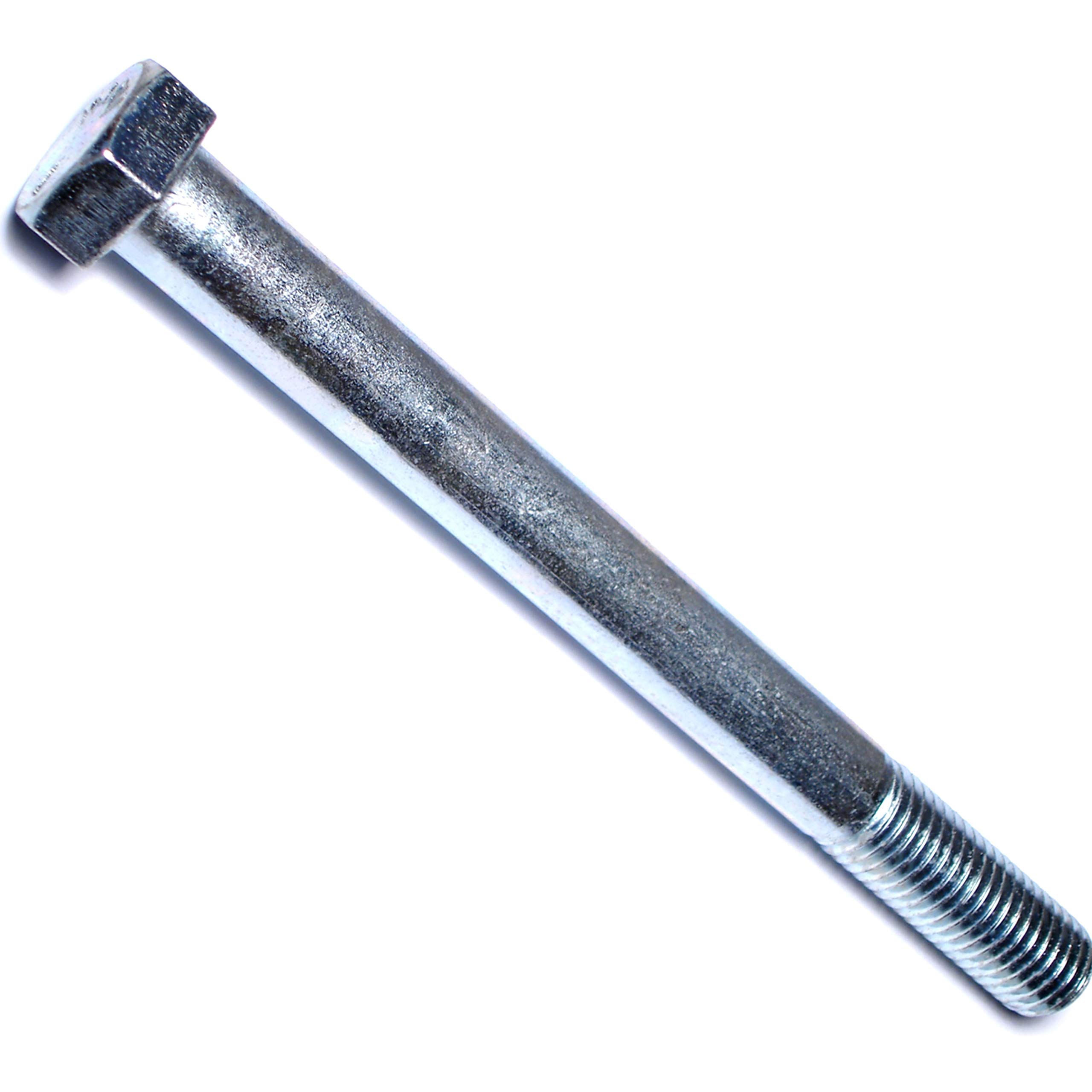 Stainless Steel Hex Bolts and Cap Screws Set - 10 Piece Kit for Furniture, Machinery & DIY Projects