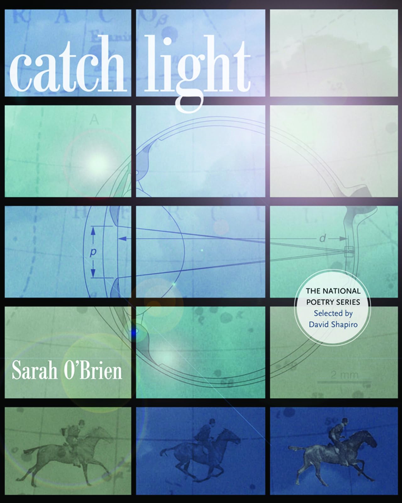 Catch Light (The National Poetry Series) - Award-Winning Poetry Book for Literature Lovers | Perfect for Book Clubs, Gifts & Literary Collections