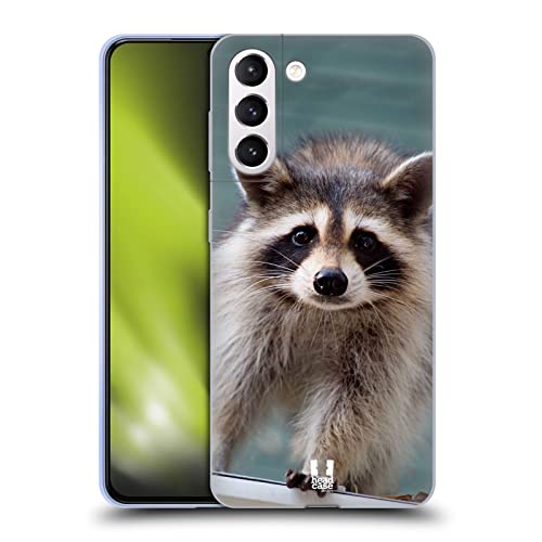 Baby Raccoon