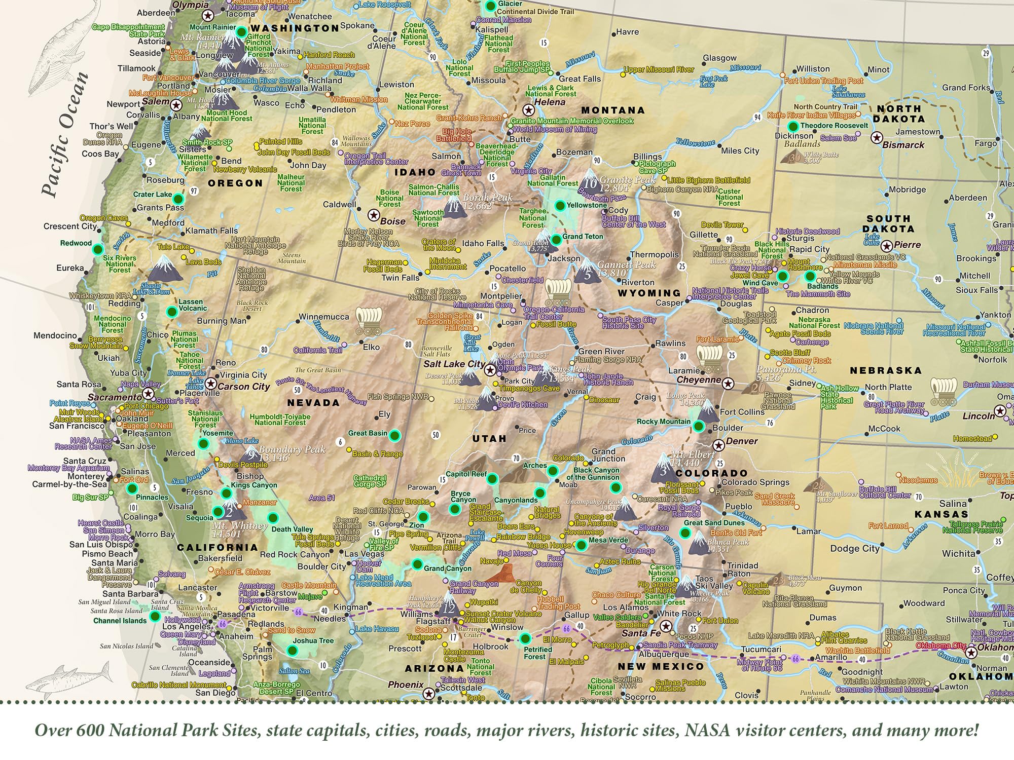 Custom National Parks Map with Pins - 63 US National Parks & 700+ Park Sites - Push Pin Travel Map for Wall Decor (Nautilus Edition) - Framed, Rolled Poster or Stretched Canvas - Includes 500 Pins - Perfect for Travel Enthusiasts & Home Office Decor