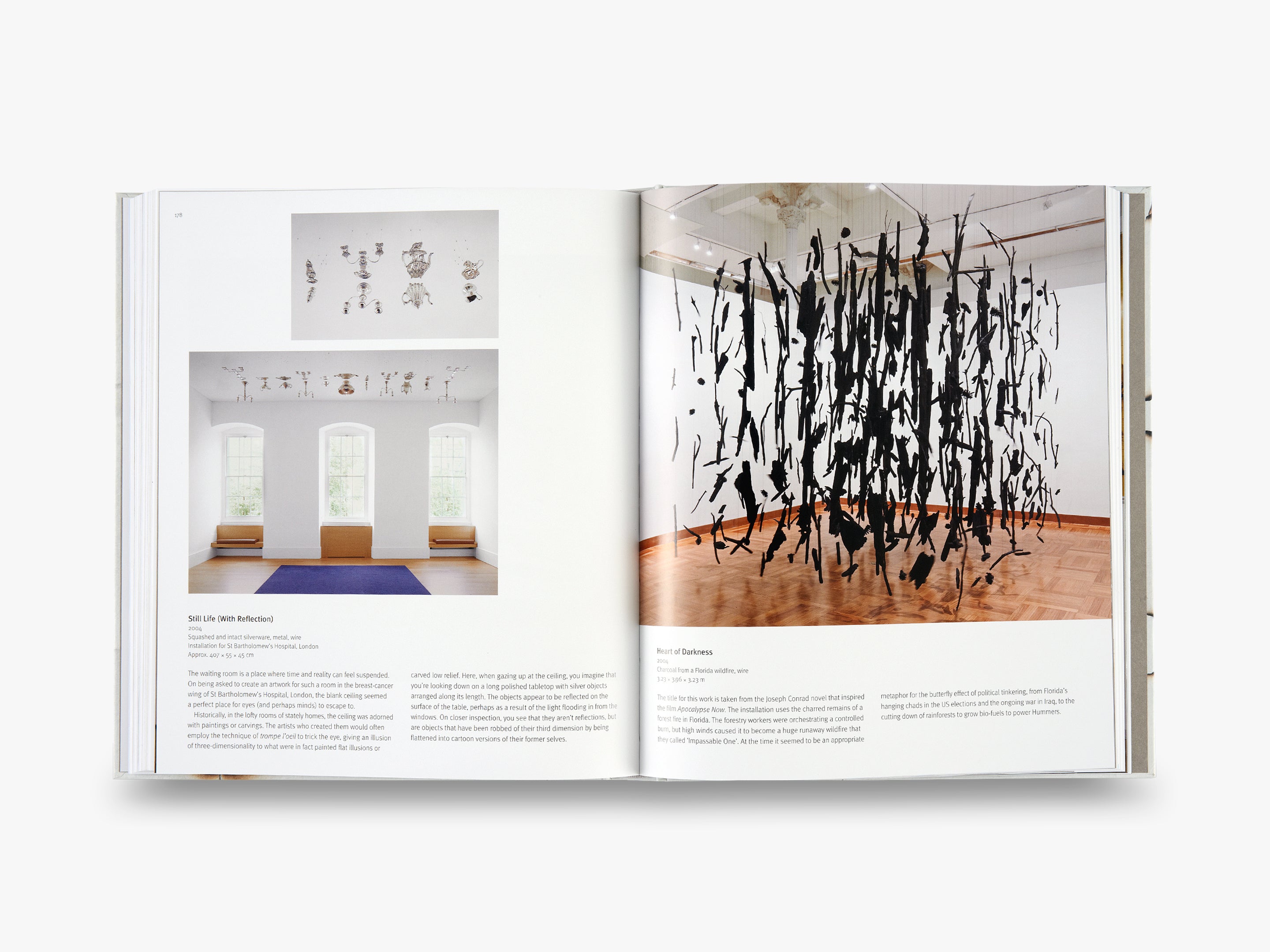 Cornelia Parker Limited Edition Artwork - Exclusive Collectible for Home Decor & Office Display