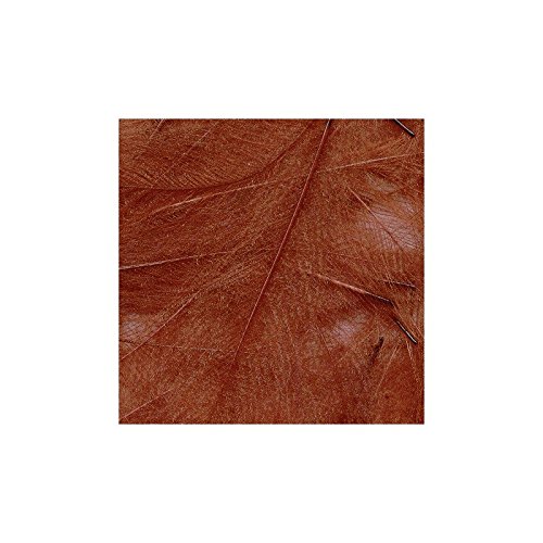 Premium Petitjean CDC Feathers 1 Gram Bags - Dry Fly Fishing Hackle for Trout & Salmon - Perfect for Fly Tying & Streamer Patterns