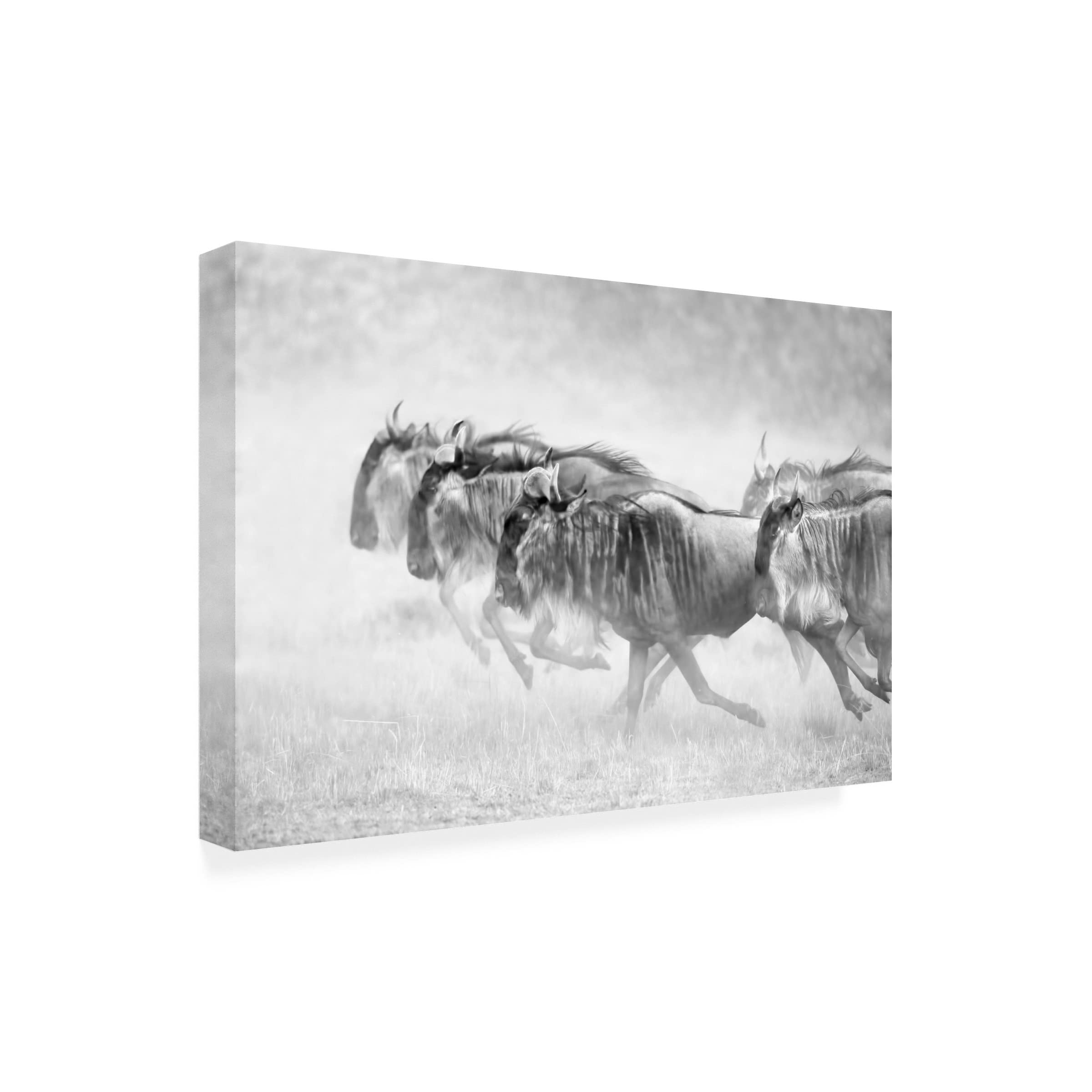 John Fan 'Unstoppable' Canvas Wall Art Print - Modern Inspirational Home Decor for Living Room, Bedroom & Office - Trademark Fine Art Collection