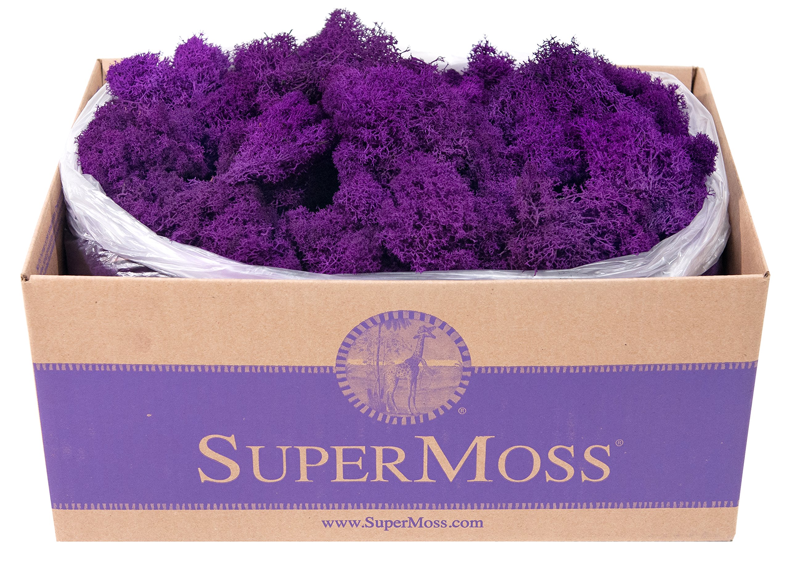 SuperMoss Premium Decorative Purple Moss - 3 lb Bulk Case for Floral Arrangements, Terrariums & Home Decor | Natural Craft Moss for DIY Projects, Wedding Centerpieces & Garden Landscaping