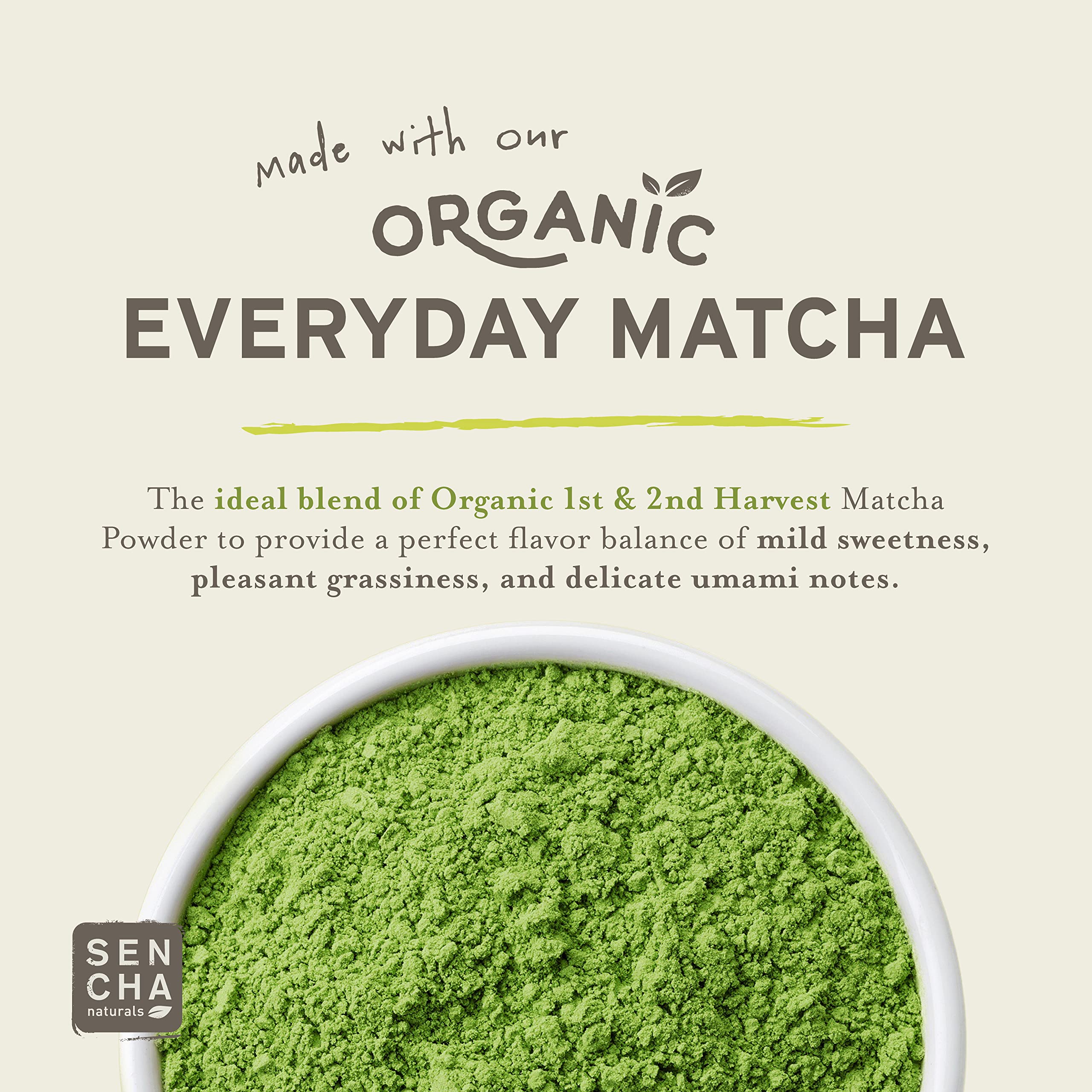 SEN CHA Naturals Citrus Ginger Green Tea with Vitamin C - Effervescent Drink Mix with Japanese Matcha Powder, Acerola Cherry & Coconut Water - Immune Support & Energy Boost - Pack of 10 - Perfect for Morning Refreshment & Workout Recovery